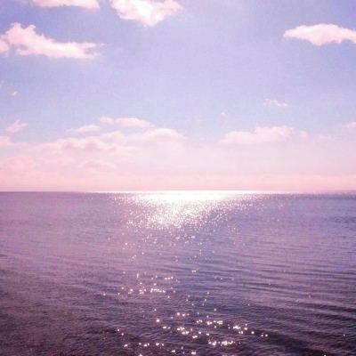 别让水果掉地上手机版(暂未上线)v1.0.0 安卓版